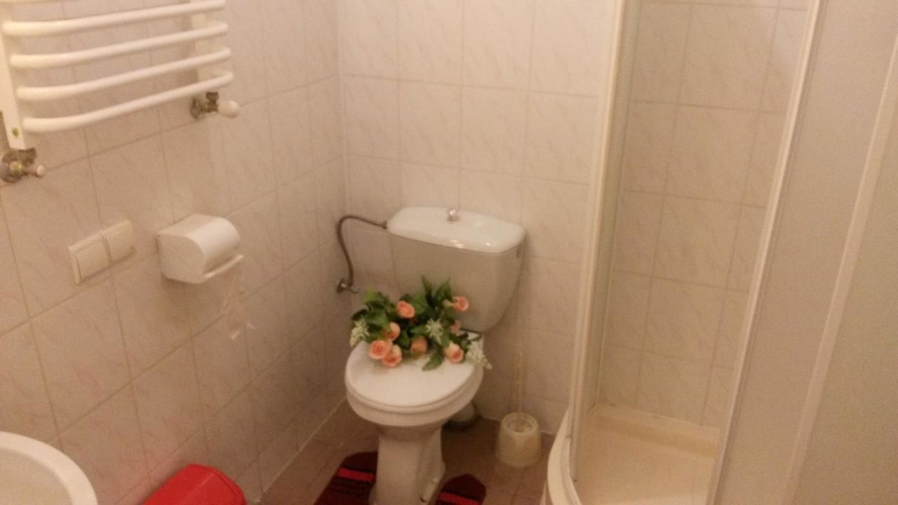 Апартаменты Apartament-Minihotel Elpida Львов-29